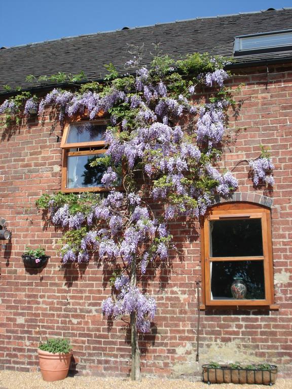 Highfields Farm B&B Стон Екстер'єр фото